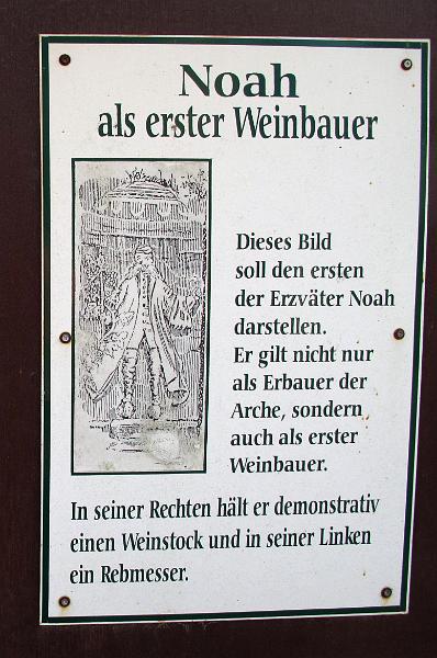 S-A (233).jpg